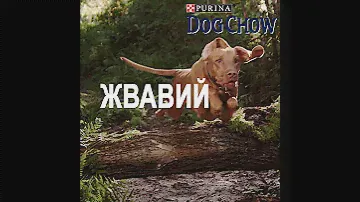 Purina Dog Chow® Ukraine  — Переслідувач