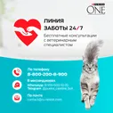 Сухой корм кошек Purina ONE полнорационный для стерилизованных с высоким содержанием лосося 3кг
