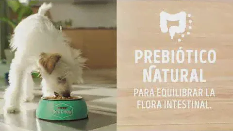 Purina® Dog Chow® Cachorros