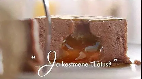 Purina Gourmet Melting Heart EE