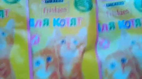Friskies влажный корм для котят и постарше.