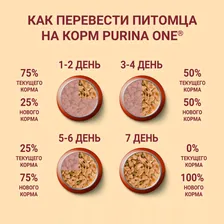 Влажный корм для собак Purina ONE для мелких пород старше 1 года с курицей морковью и зеленой фасолью в подливе 85г