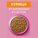 Сухой корм для котят Purina ONE с курицей 200г