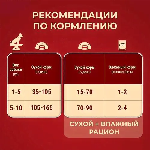 Сухой корм для взрослых собак мелких пород Purina ONE Мини Чувствительная, с чувствительным пищеварением, с лососем и рисом-3