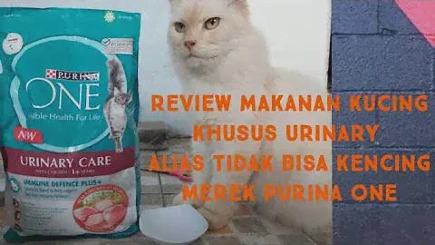 Review makanan kucing PURINA ONE URINARY CARE. Setara Royal canin URINARY CARE tapi MURAAAHHHH!!
