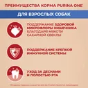 Сухой корм для собак Purina ONE для мелких пород с говядиной и рисом 7кг