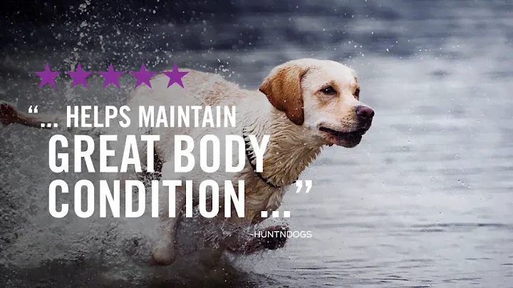 Purina ProPlan Sport