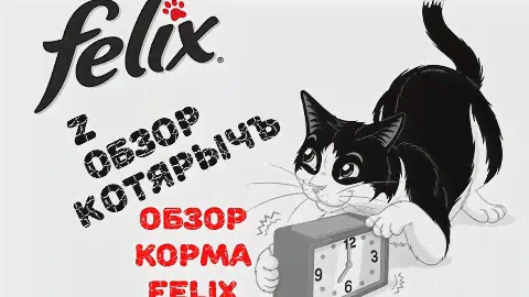 ZооОБЗОР КотярычЪ - "Felix от Purina" Обзор кормов.