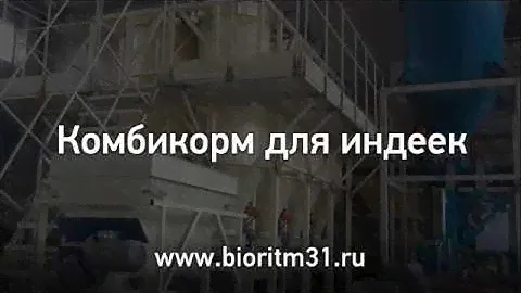 Комбикорм для индеек