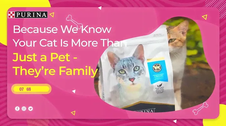 Purina PRO Plan x Premium Nutrition for Your Cat 😻😻
