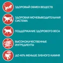 Purina ONE Sterilised Сухой корм для взрослых стерилизованных кошек и кастрированных котов, с говядиной и пшеницей, 3 кг