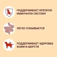 Влажный корм для активных взрослых собак мелких и карликовых пород Purina ONE Мини, с говядиной, картофелем и морковью в подливе, Пауч