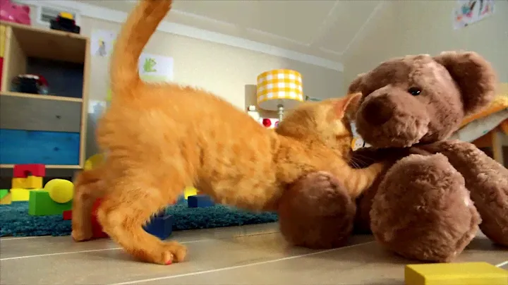 Friskies для котят