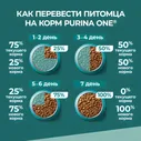 Сухой корм для кошек Purina ONE Природа здоровья с индейкой 680г