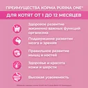 Сухой корм для котят Purina ONE с курицей 200г
