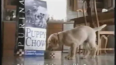 Purina Puppy Chow 90s Commercial (1999)