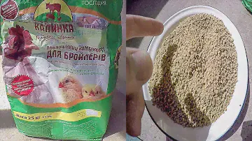 СУТОЧНЫЙ БРОЙЛЕР КОМБИКОРМ старт  от 0 до 10 дней - zolotyeruki
