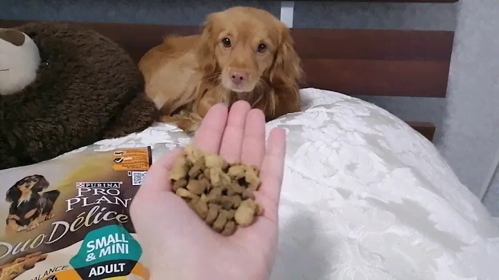 Purina Pro plan. Отзыв