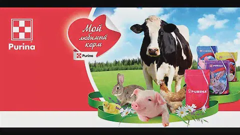 Как повысить удой и БМВК для лактирующих коров Польза или Вред? Есть ли смысл!