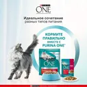 Purina ONE Sterilised Сухой корм для взрослых стерилизованных кошек и кастрированных котов, с говядиной и пшеницей, 3 кг