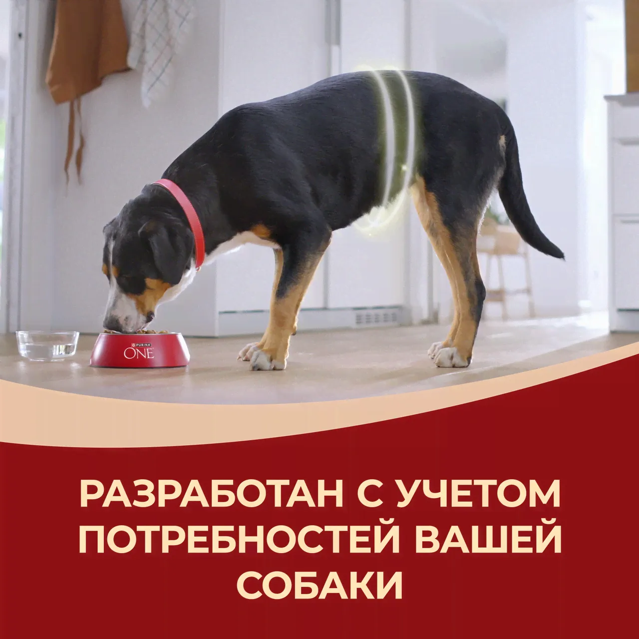 Purina ONE Adult Сухой корм для взрослых собак средних и крупных пород, с говядиной и рисом, 3,8 кг-3