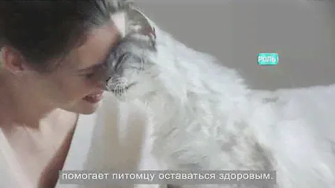 Purina ONE® заботится о здоровье стерилизованных кошек и кастрированных котов
