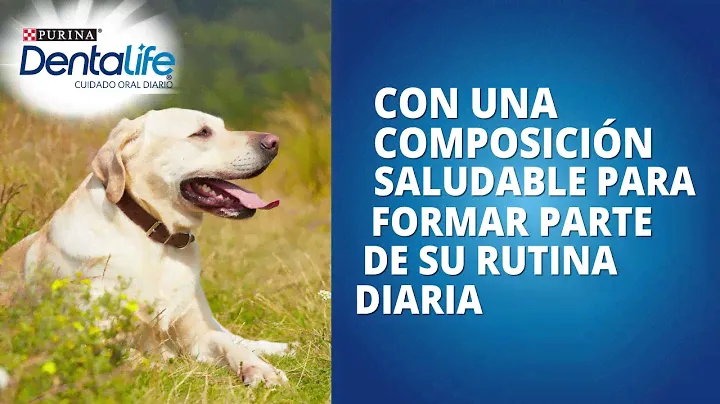 Presentamos Purina® Dentalife®