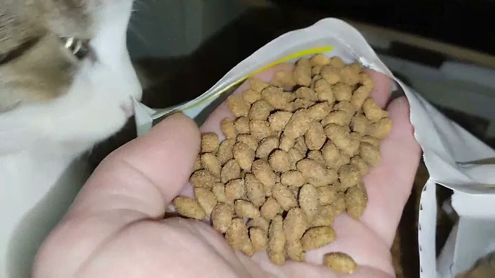Cat Chow Sterilised Cat Turkey Сухий корм для кастрованих котів та стерилізованих кішок з індичкою