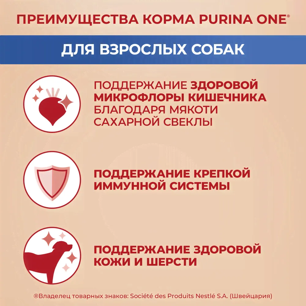 Purina ONE Adult Сухой корм для взрослых собак средних и крупных пород, с говядиной и рисом, 3,8 кг-0