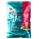 Корм для взрослых кошек Purina (Пурина) One 75г говядина-морковь