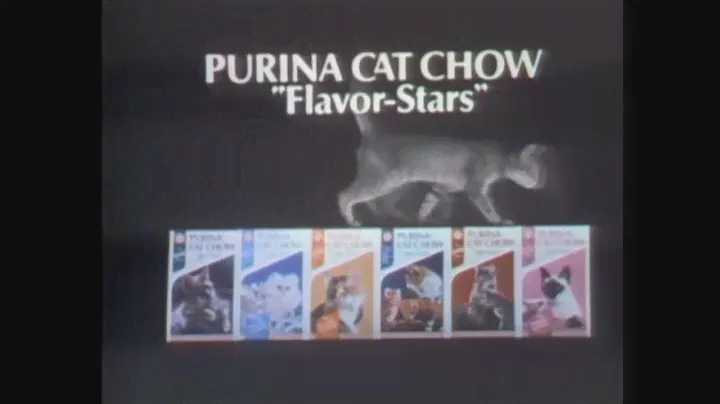 purina cat chow