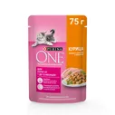 Корм влажный Purina One для котят с курицей и морковью, 75г