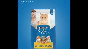 Cat Chow Esterilizados - Cat Chow Purina