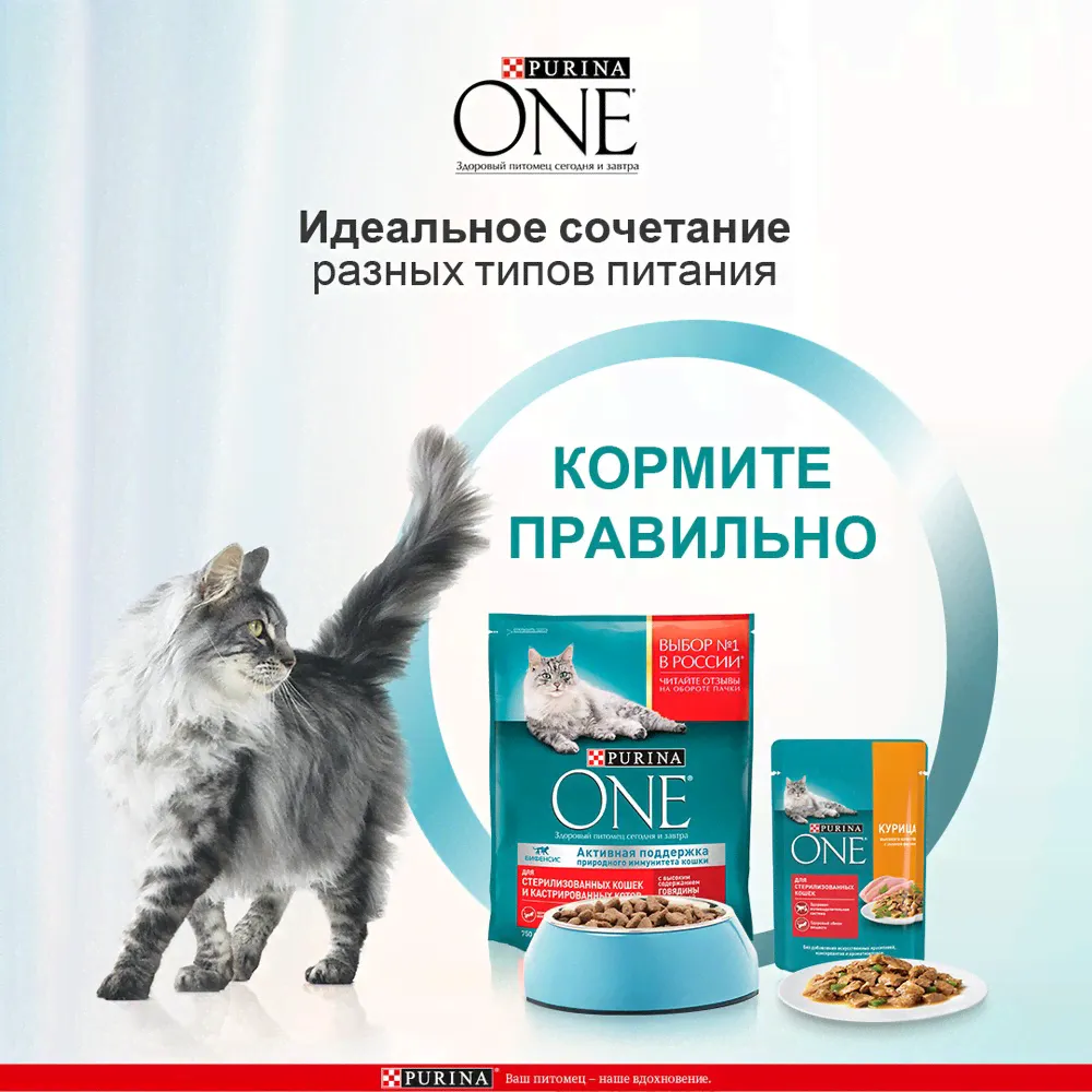 Корм влажный Purina One для кошек при чувствительном пищеварении с курицей и морковью, 75г-2