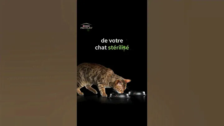 Découvrez la gamme Pro Plan Sterilised