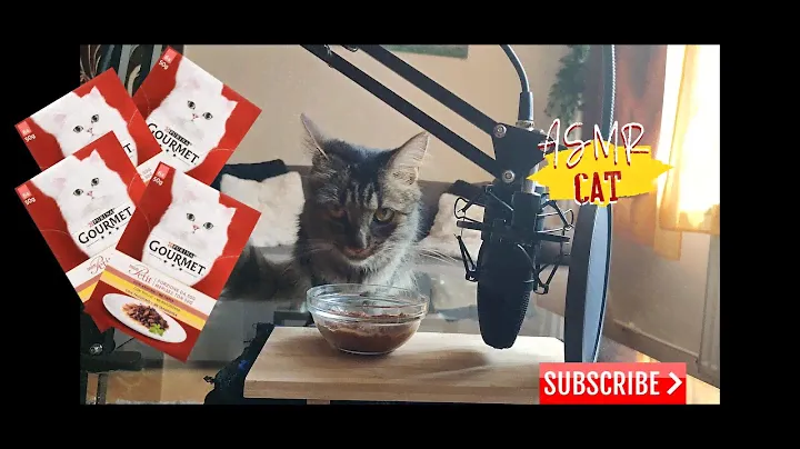 ASMR CAT GOURMET MON PETIT CAT WITH BEEF MUKBANG (No talking) CAT food |Eating Sounds| Lily ASMR