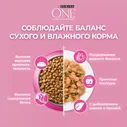 Сухой корм для котят Purina ONE с курицей 200г