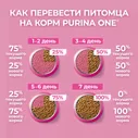 Сухой корм для котят Purina ONE с курицей 200г