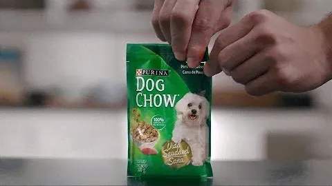 Nuevo Alimento Húmedo Purina Dog Chow