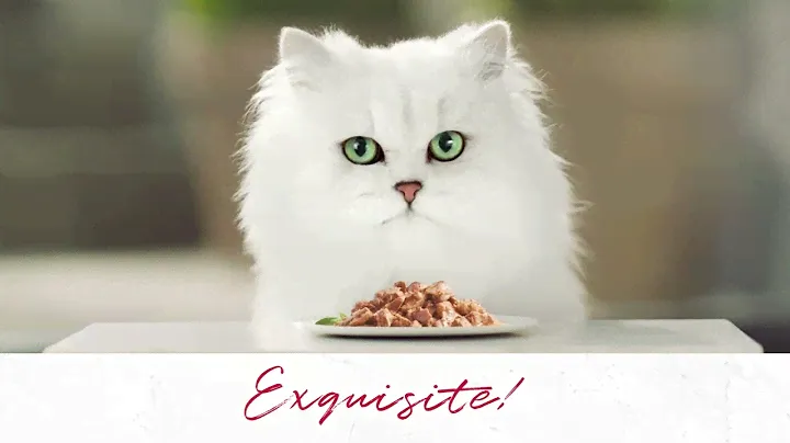 PURINA GOURMET™ Mon Petit Intense – Små lekre porsjoner, intensive smaker