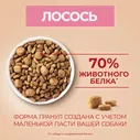 Сухой корм для взрослых собак мелких пород Purina ONE Мини Чувствительная, с чувствительным пищеварением, с лососем и рисом