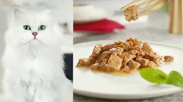 Purina Gourmet MonPetit