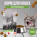 Purina Pro Plan сухой корм для стерилизованных кошек и кастрированных котов (для поддержания органов чувств), с лососем