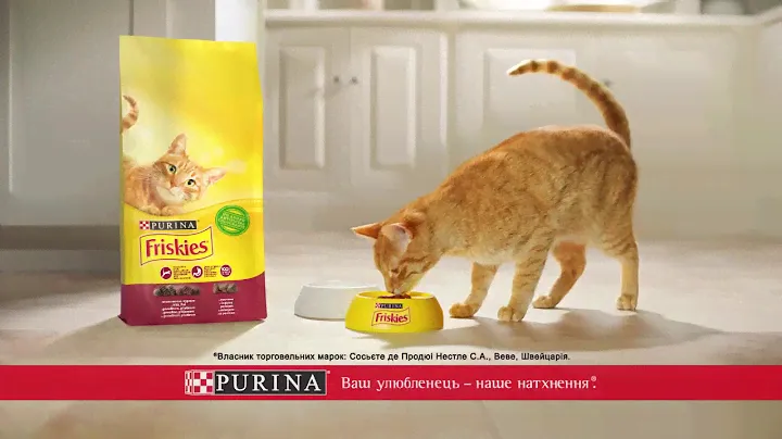 Nestlé PURINA Friskies®