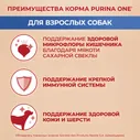Сухой корм для собак Purina ONE для средних и крупных пород с курицей и рисом 3.8кг