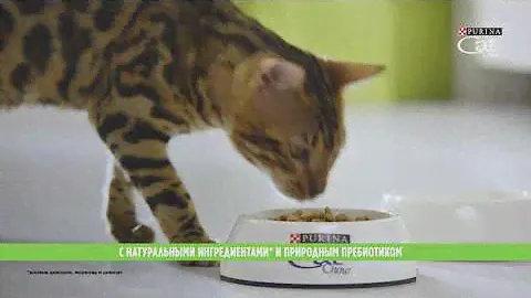 Purina Cat Chow