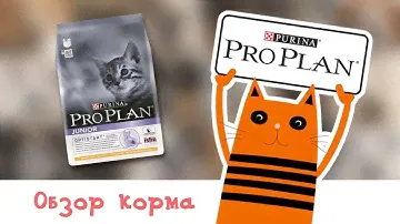 Обзор корма Pro Plan Sterilised Optirenal Rabbit