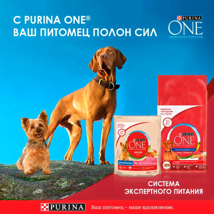 Влажный корм для собак Purina ONE для мелких пород старше 1 года с курицей морковью и зеленой фасолью в подливе 85г-3