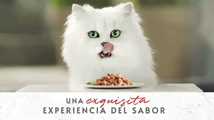 PURINA Gourmet™ Mon Petit Intense ¡Saborea la Intensidad!