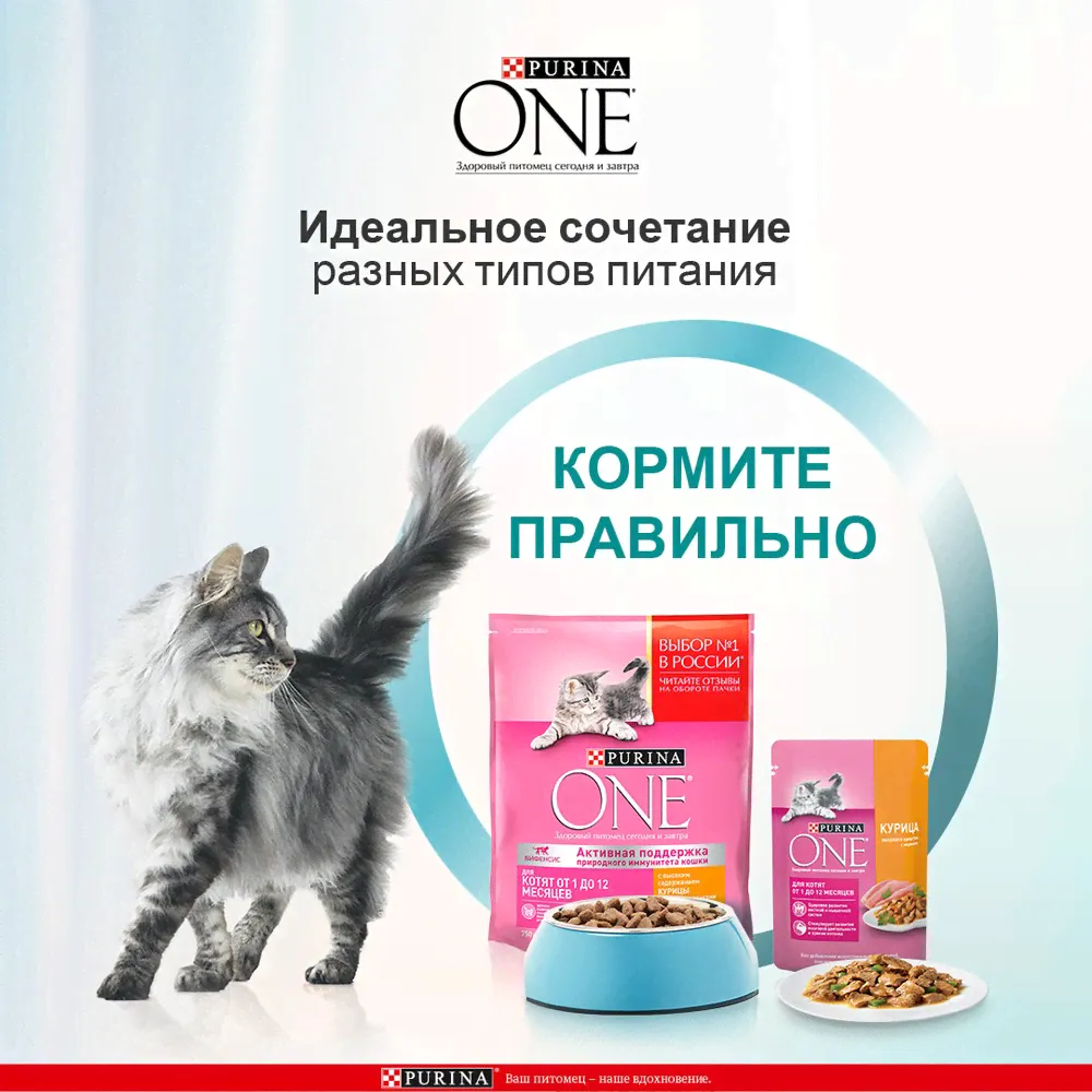 Корм влажный Purina One для котят с курицей и морковью, 75г-1